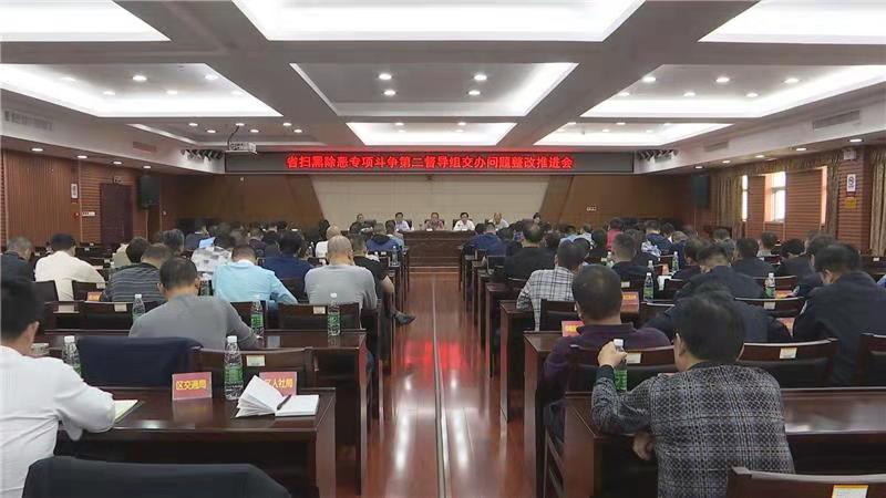武陵区召开扫黑除恶专项斗争问题整改推进会