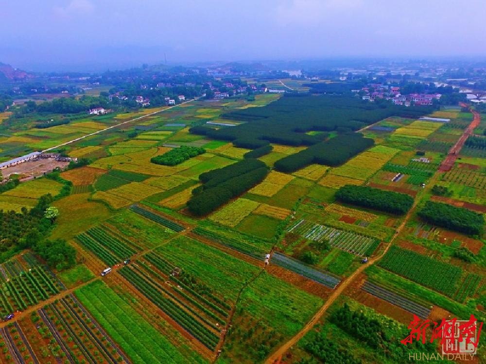 美麗瀏陽——這裡是古港