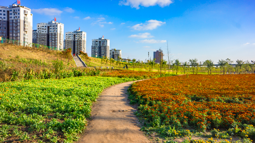 安乡县书院州国家湿地公园