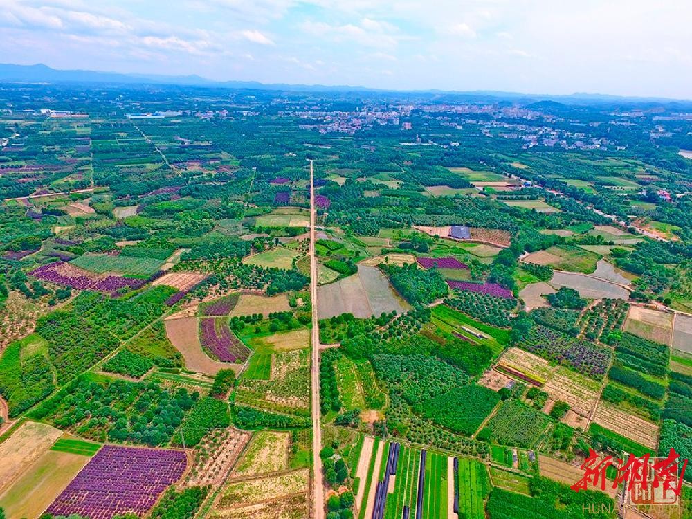 美丽浏阳——这里是镇头