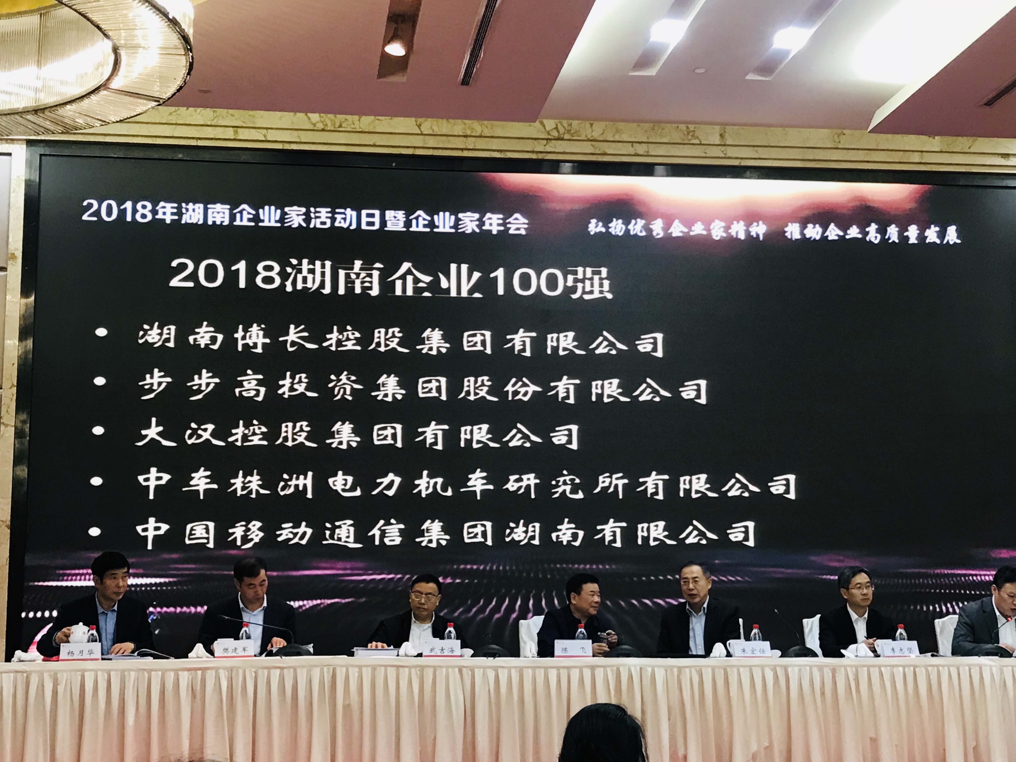 2018湖南企业100强名单出炉 大汉集团排第13名