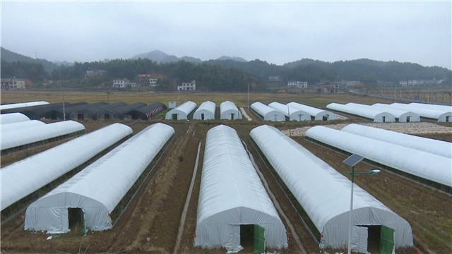 韶山市杨林乡：委托帮扶 实现共赢
