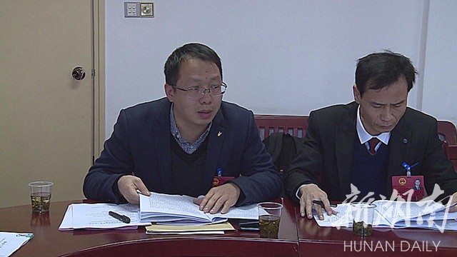 刘朝晖参加高亭司镇代表团讨论 - 新湖南