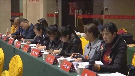 武陵代表团分团审议《政府工作报告》