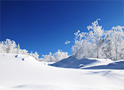 周德睿：提早部署防冰雪 确保平安保稳定