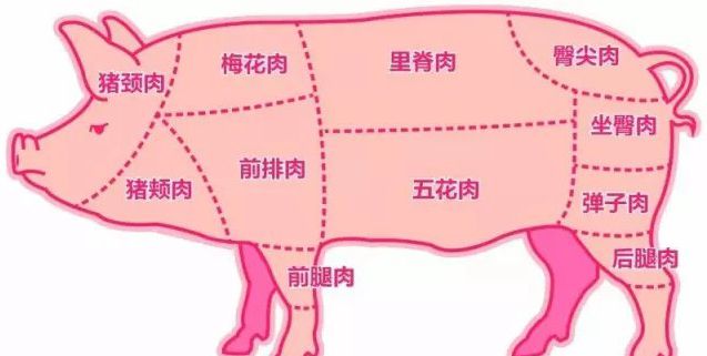 猪牛肉如何吃才能更美味健康