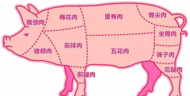 详细标明了猪,牛身体各部位肉类的名称,比如猪肉图里有梅花肉,里脊肉