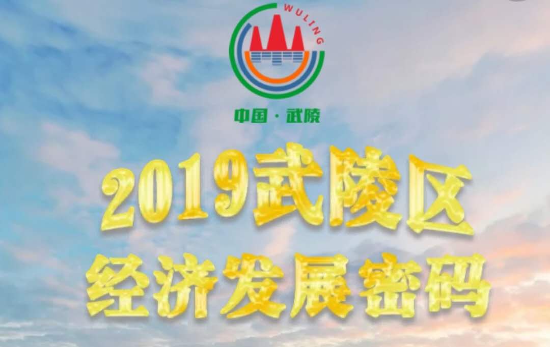 2019武陵区经济发展密码