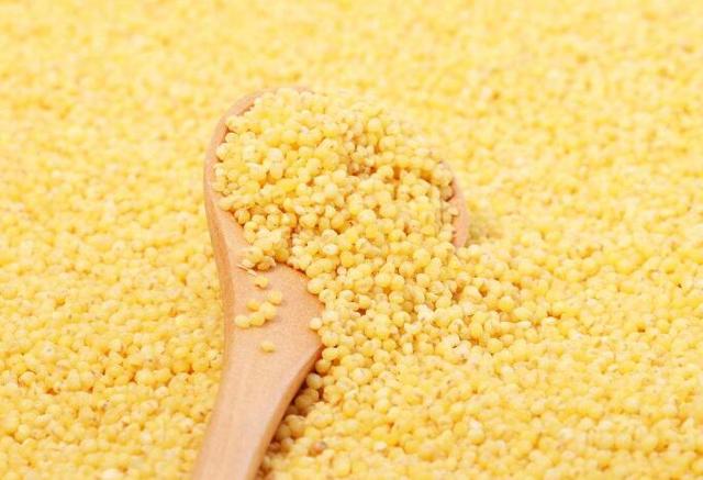 《本草纲目》:小米可以"健脾,和胃,安眠"