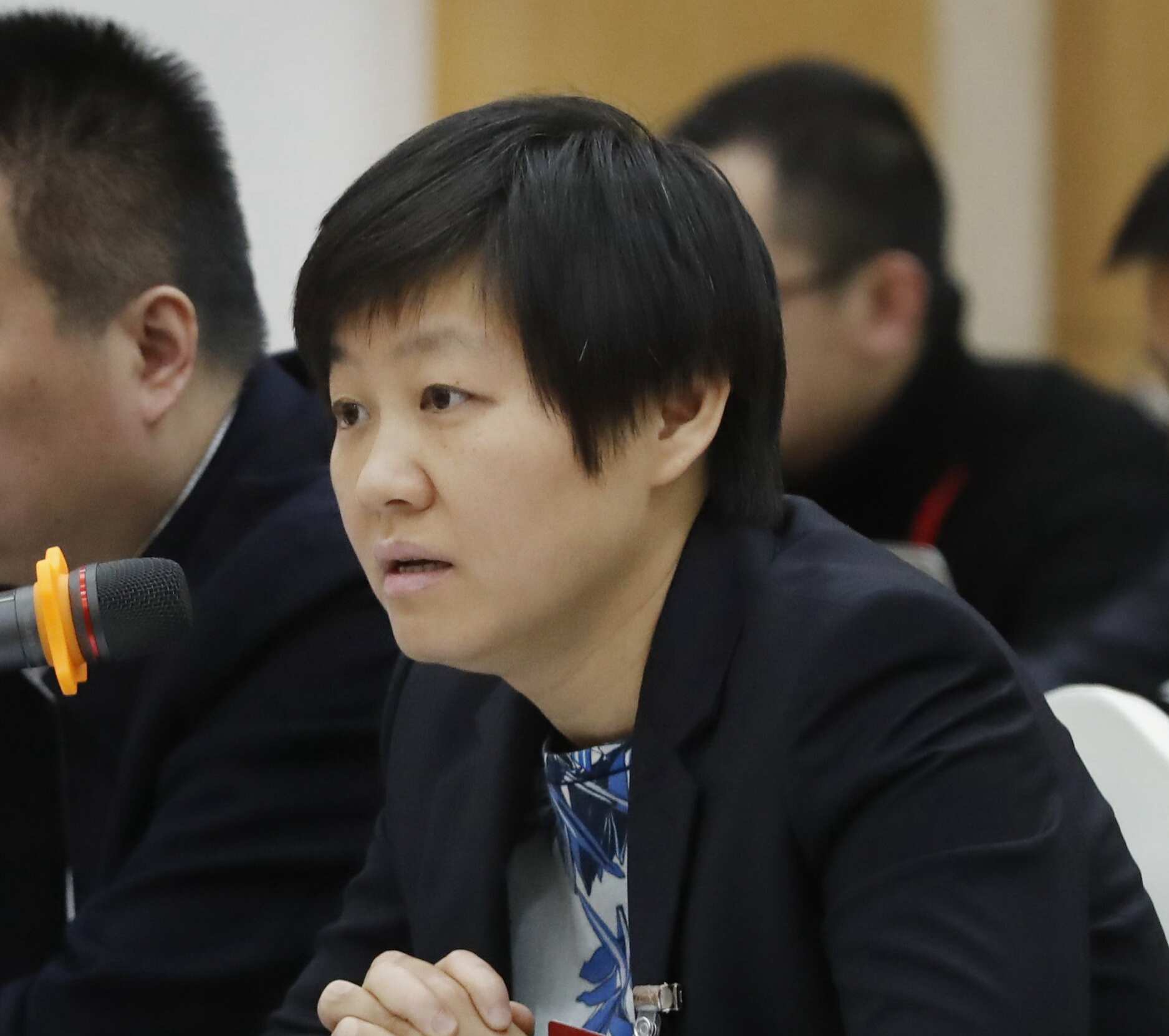 株洲高新区动力谷科技创新服务中心副主任,全国妇女十二大代表,中国