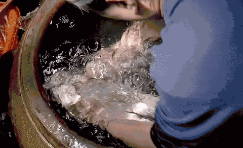 480_292gif 动态图 动图