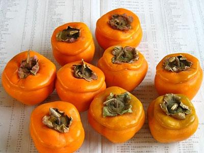 3,柿子多食往往不利于外邪疏散,有时甚至可以加重病情,需要引起注意.