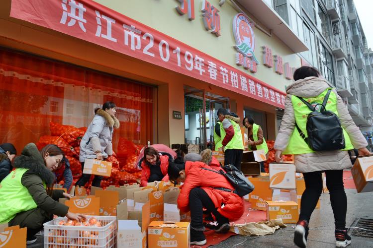 洪江市：爱心卖橘 助农增收