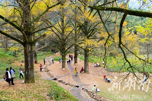 双牌：融合产业发展 深入推进全域旅游