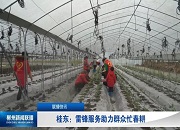 郴州新闻联播：雷锋服务助力群众忙春耕