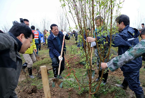 義務(wù)植樹 扶貧增綠