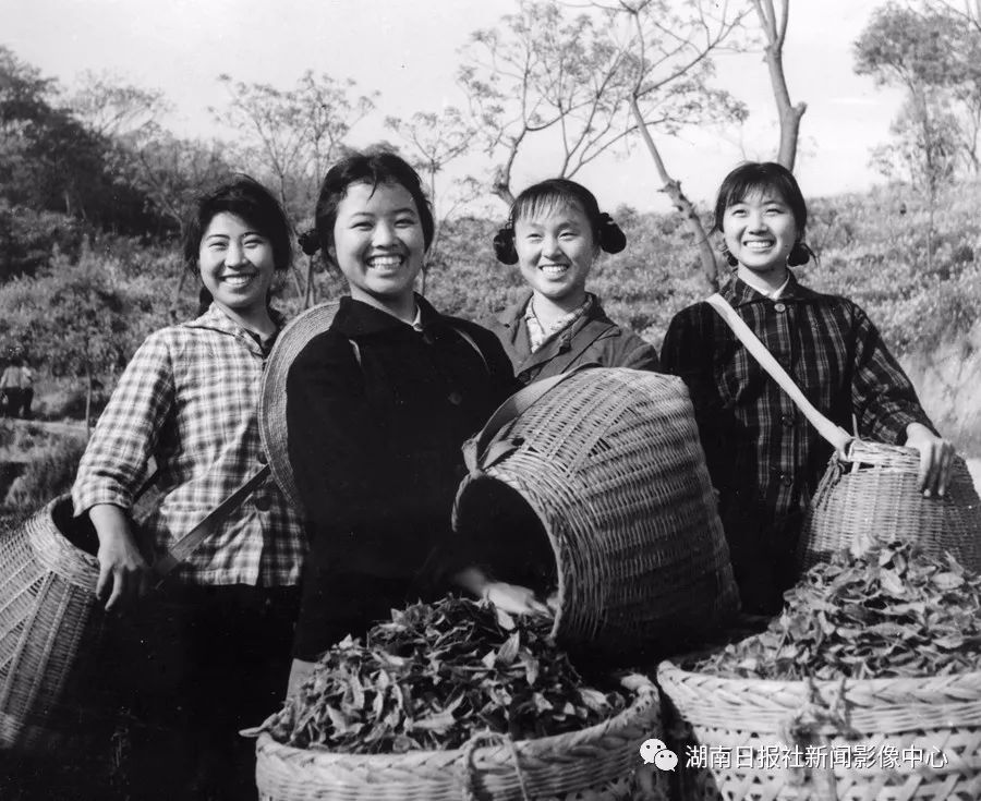 当年岳阳女知青.