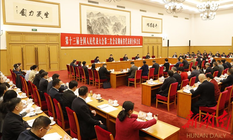 湖南代表团举行第一次全体会议 推选杜家毫为团长，许达哲等为副团长