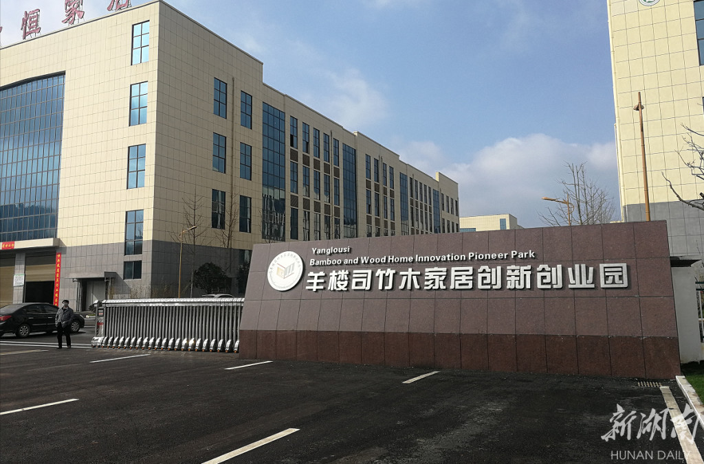 带着竹木"闯"家居 双创园成新高地