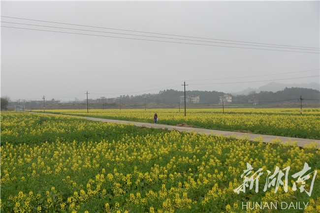 农旅|道县光家岭村：青山绿水入画卷 美丽乡村展新颜