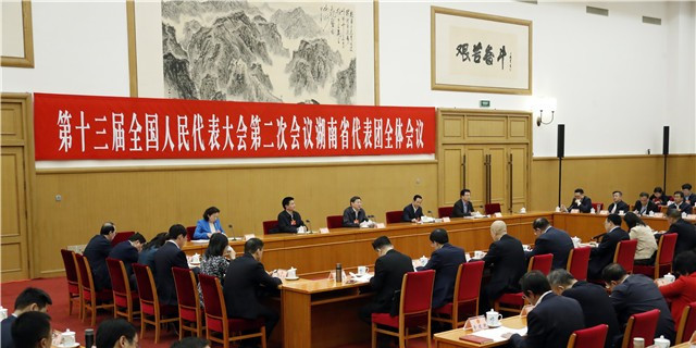 湖南代表团举行第七次全体会议 杜家毫许达哲参加审议