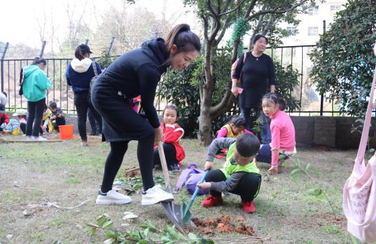 岳阳楼区干群掀起种绿护绿新高潮