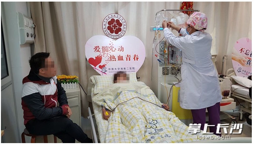 湖南第一例！采集一次造血干细胞，救治一对双胞胎