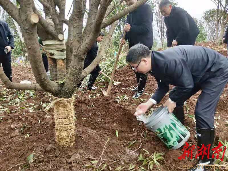 邵阳：建绿护绿  为经济社会高质量发展注入绿色动能