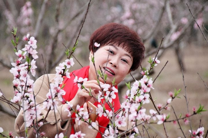 人面桃花相映紅