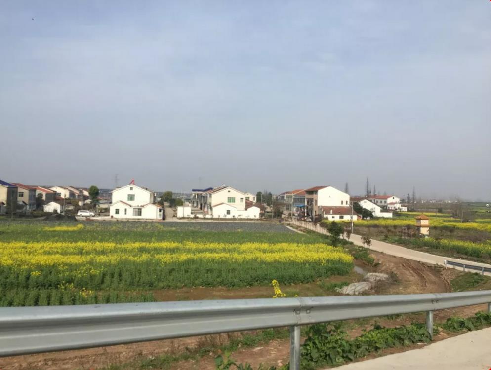 广兴洲镇农村人居环境整治侧记-新湖南