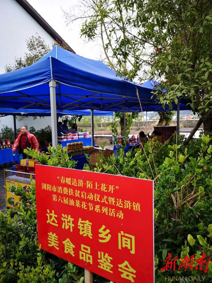 浏阳市达浒镇:节会促旅游,旅游 扶贫——第六届油菜花节系列活动举行