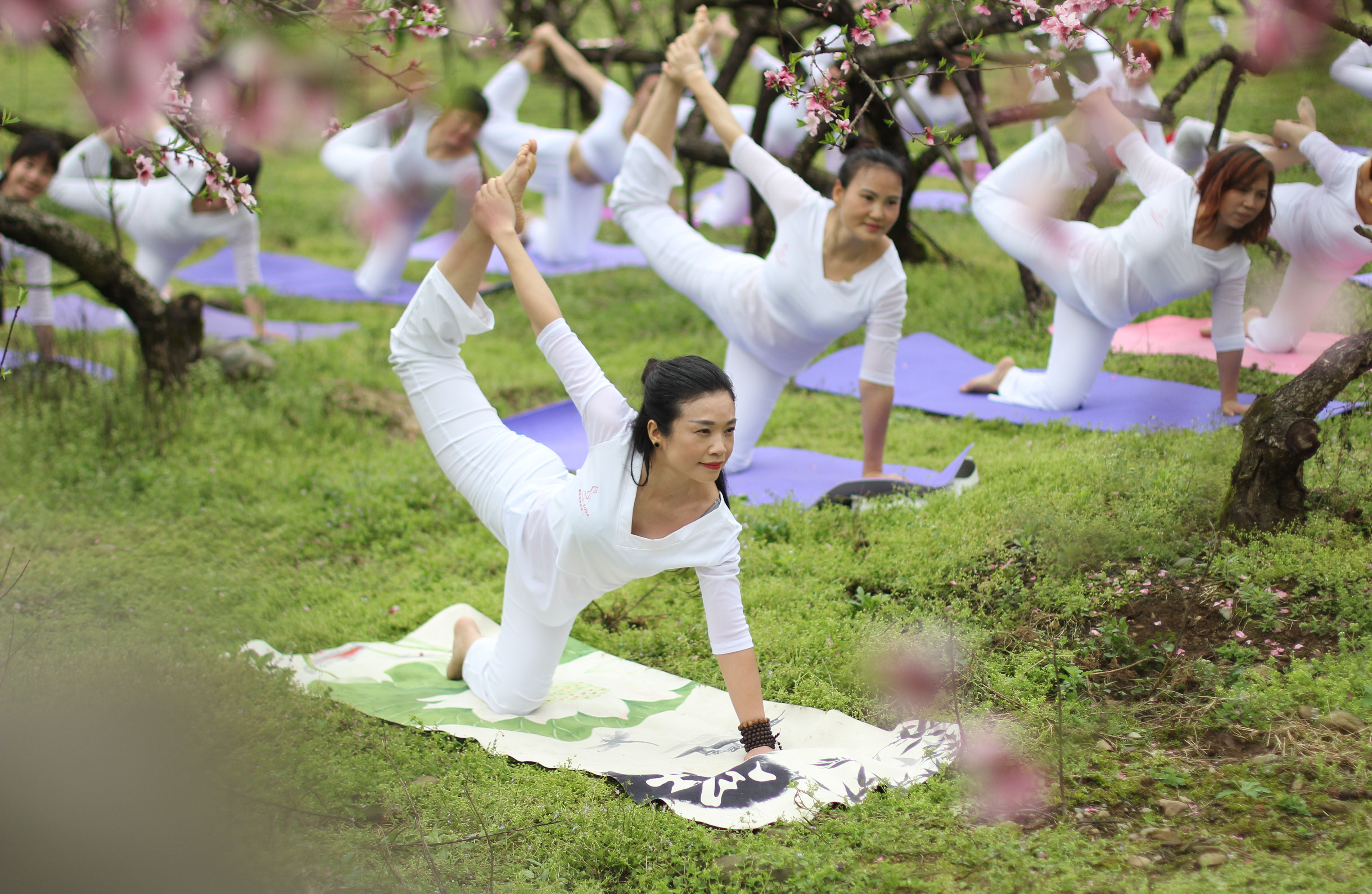 图集道县赏春花秀瑜伽
