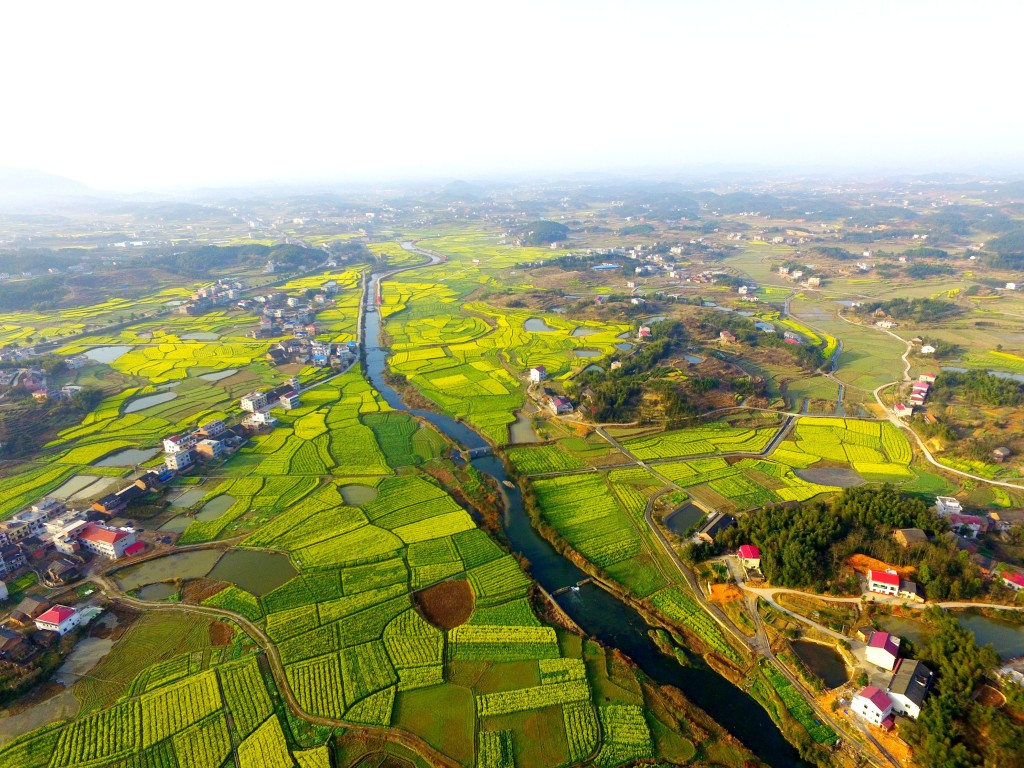 双峰锁石镇农耕文化一台戏万亩油菜画春天