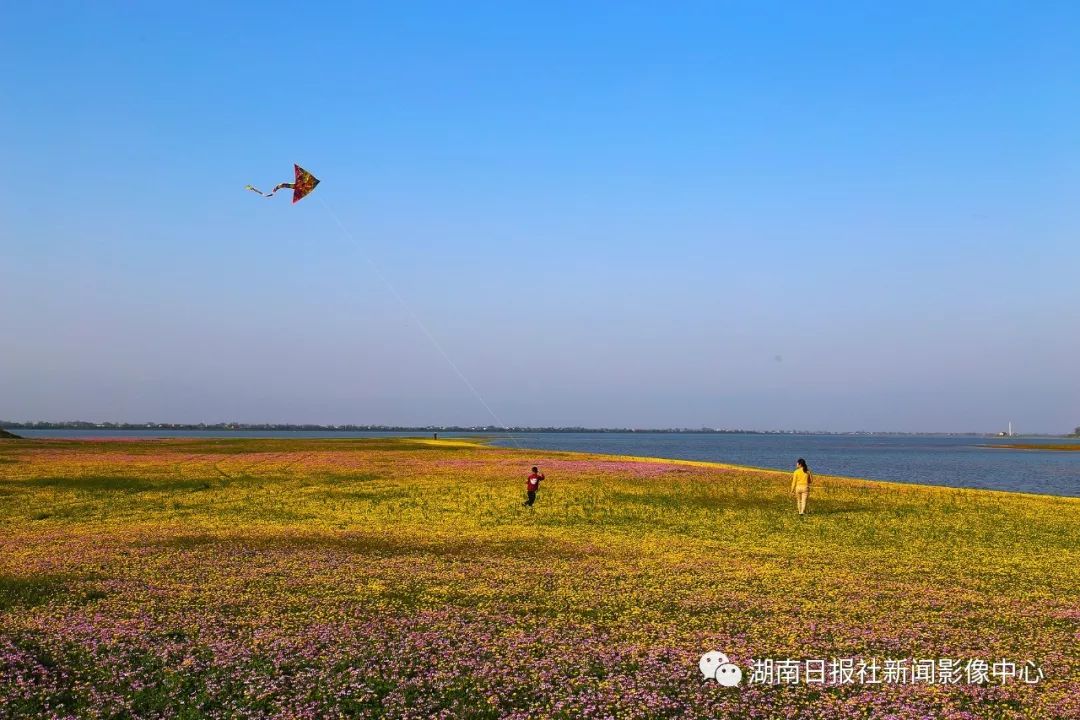 益阳来仪湖湿地公园图片