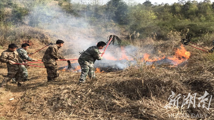永兴县洋塘乡：多措并举确保清明节期间森林防火无死角