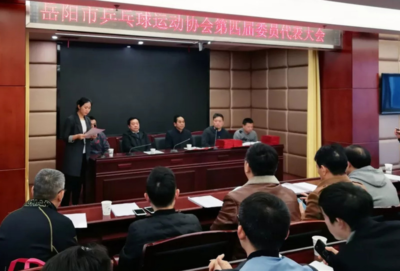 岳阳市乒协召开第四届委员代表大会