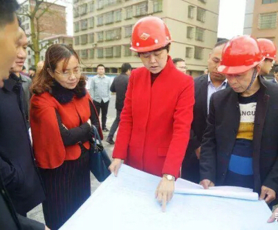 衡阳市委常委,耒阳市委书记罗琼视察城区学校项目建设科教新报·新