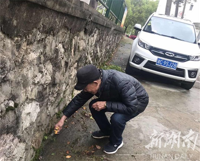 清溪镇：老党员发挥余热 当好“榜样”引领新风