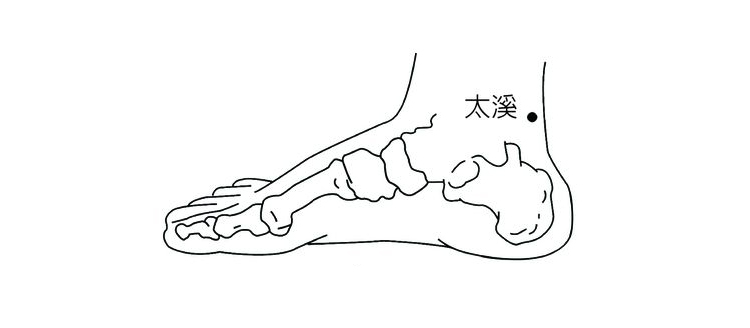 太溪脉法图片