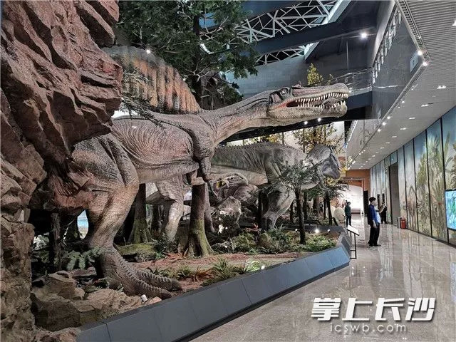 湖南省地质博物馆今日开馆,6大展厅可看可学可玩