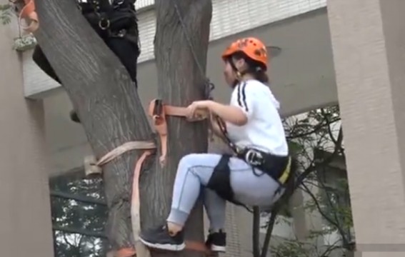 西安一高校设置爬树课 你有兴趣吗？