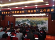 刘事青：围绕中心大胆开展审计监督  应收尽收切实解决收支矛盾