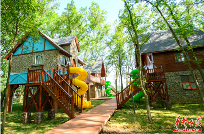 洈水体验速度与激情营地开启丛林探险之旅