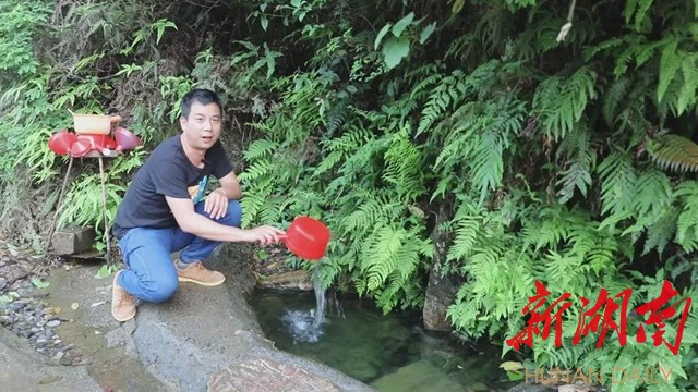 【仁城看点】路边山泉清甜甘冽 你饮用的方式正确吗? - 新湖南