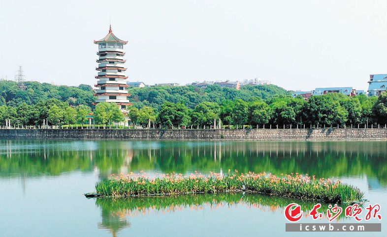 周柏平)今天,長沙風和日麗,湖南烈士公園