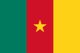 喀麦隆：“微型非洲”
