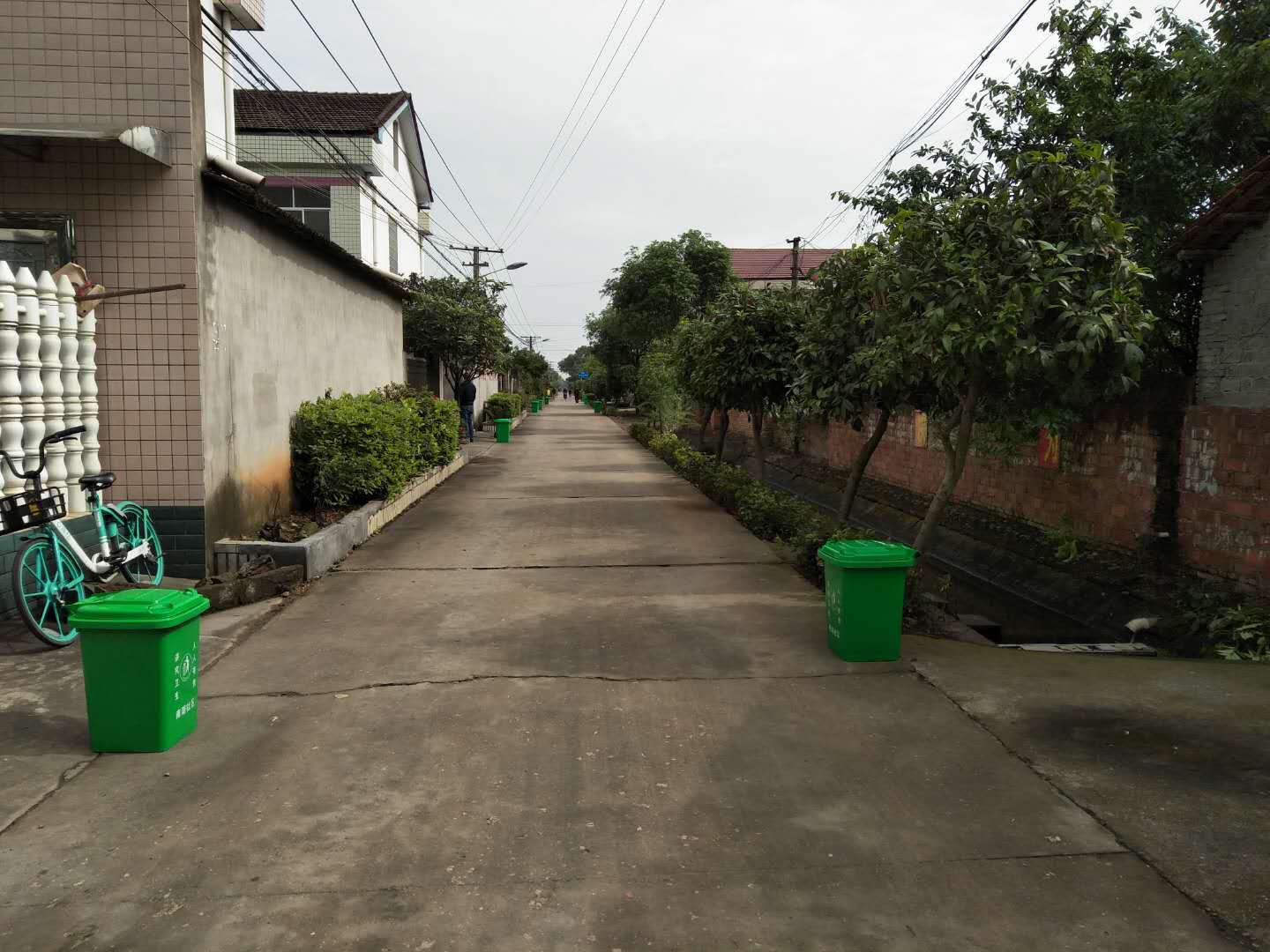 山明水秀鹭纷飞  ——常德市武陵区河洑镇农村人居环境整治见闻