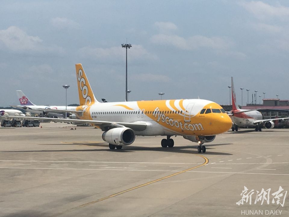 singapores  low-cost airline was launched by singapore scoot