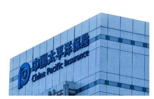 中国太保产险为中非经贸博览会护航