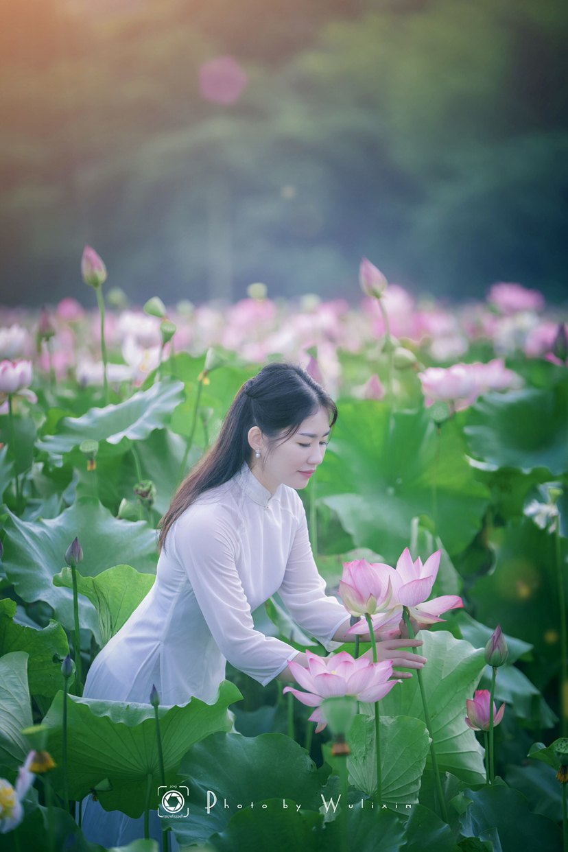 荷花人像摄影技巧图片